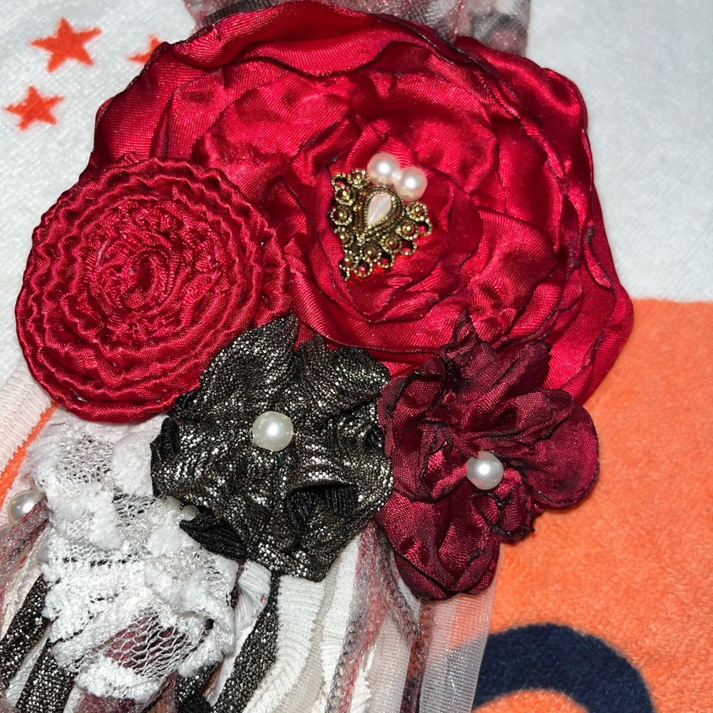 Beautiful flower 🌹 - Picture 4 of 9
